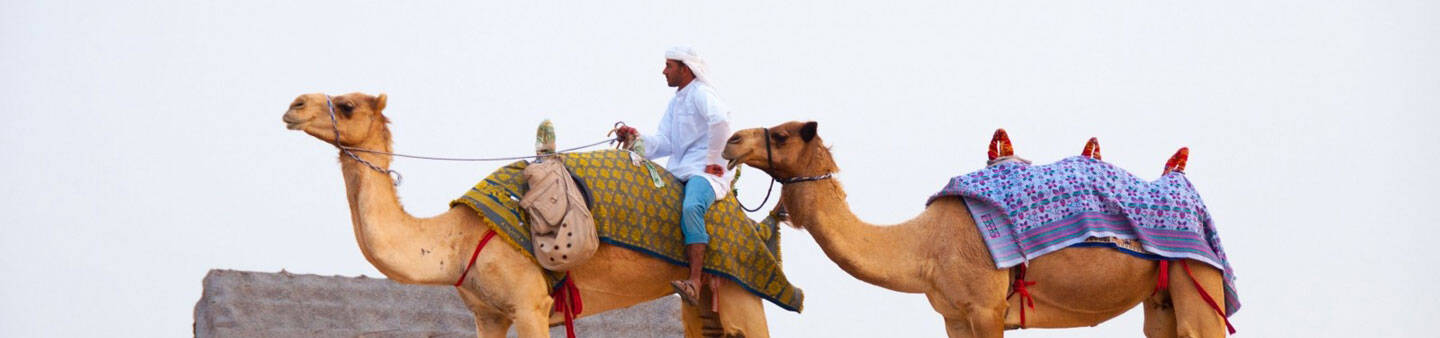 Learn Arabic in The United Arab Emirates (UAE)
