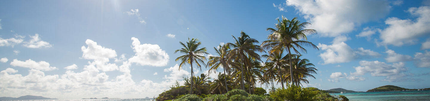Volunteer in Saint Vincent and the Grenadines