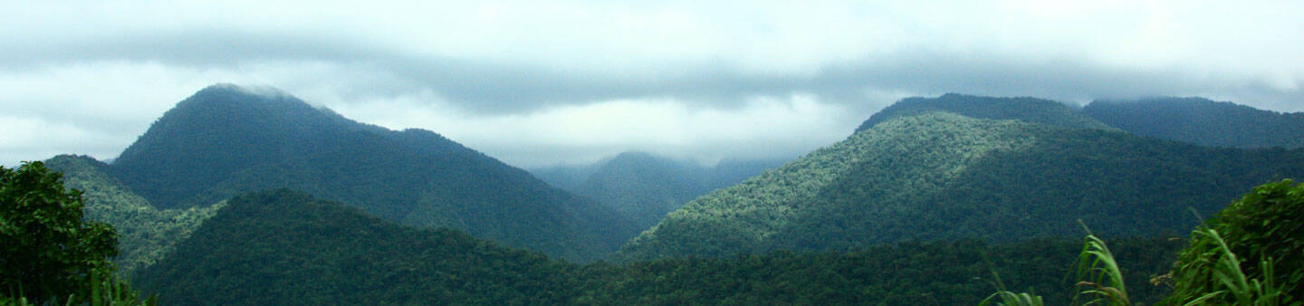 Gap Year in San Jose, Costa Rica