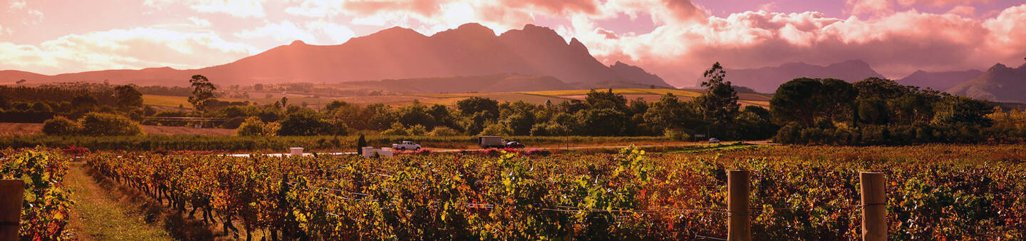 Study Abroad in Stellenbosch, South Africa