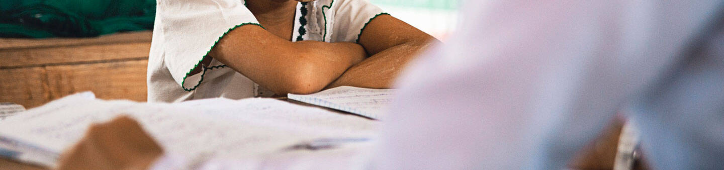 Professional Development Volunteer Programs
