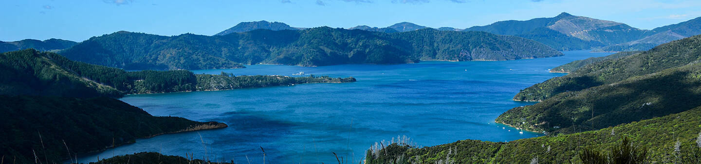 Gap Year in Oceania