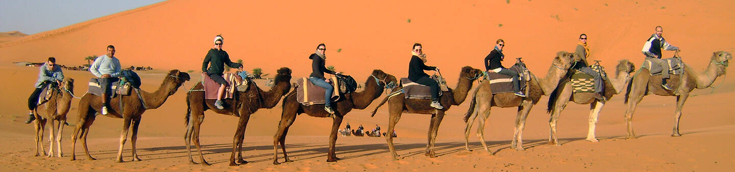Volunteer Programs in the Middle East