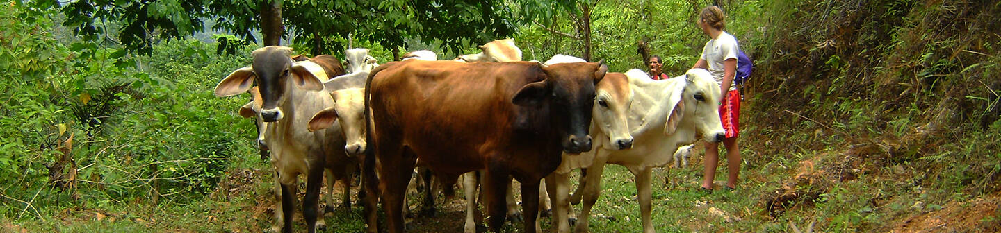 Volunteer Programs in Central America