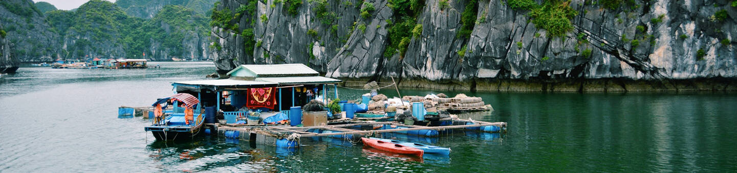 Volunteer in Vietnam