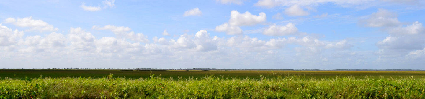 Volunteer in Guyana