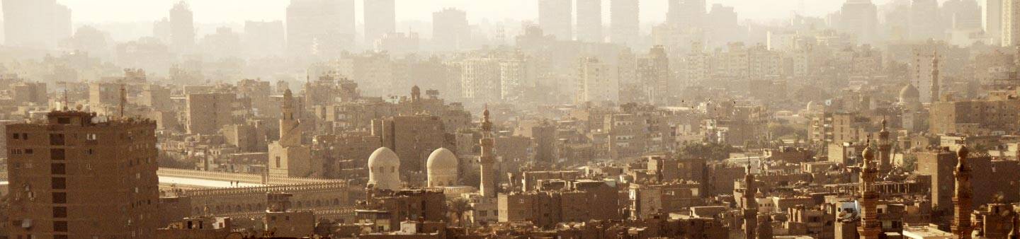 Volunteer in Egypt