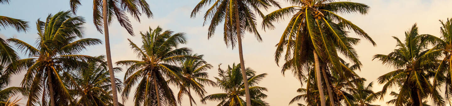 Volunteer Programs in the Caribbean
