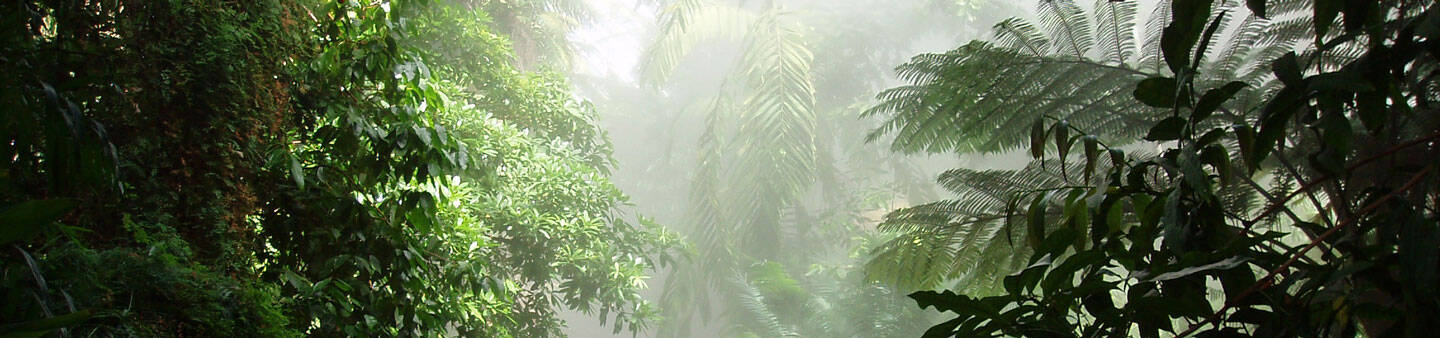 Volunteer in Papua New Guinea