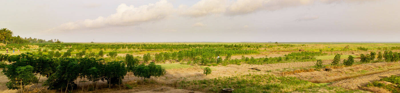 Gap Year in Ghana