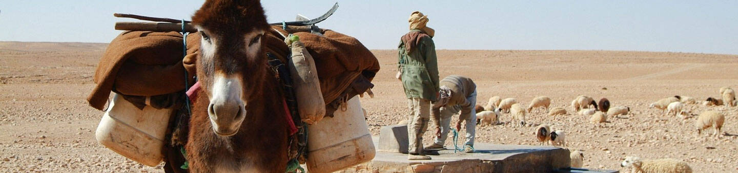 Study Abroad in Tunisia