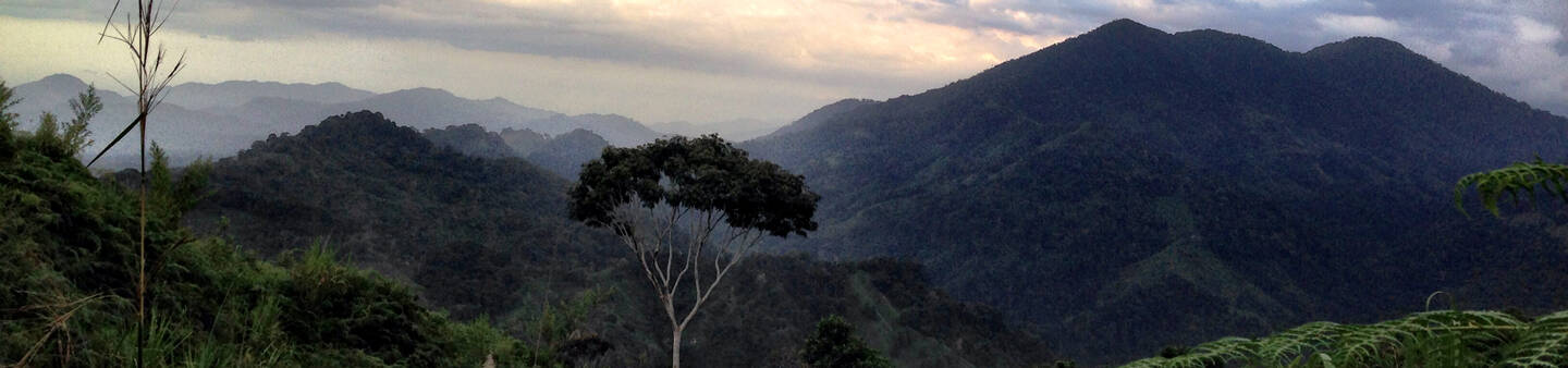 Teach English in Colombia