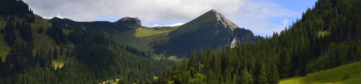 Teach English in Austria