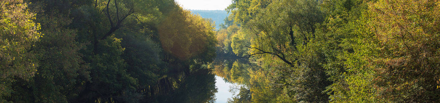 Study Abroad in Bulgaria