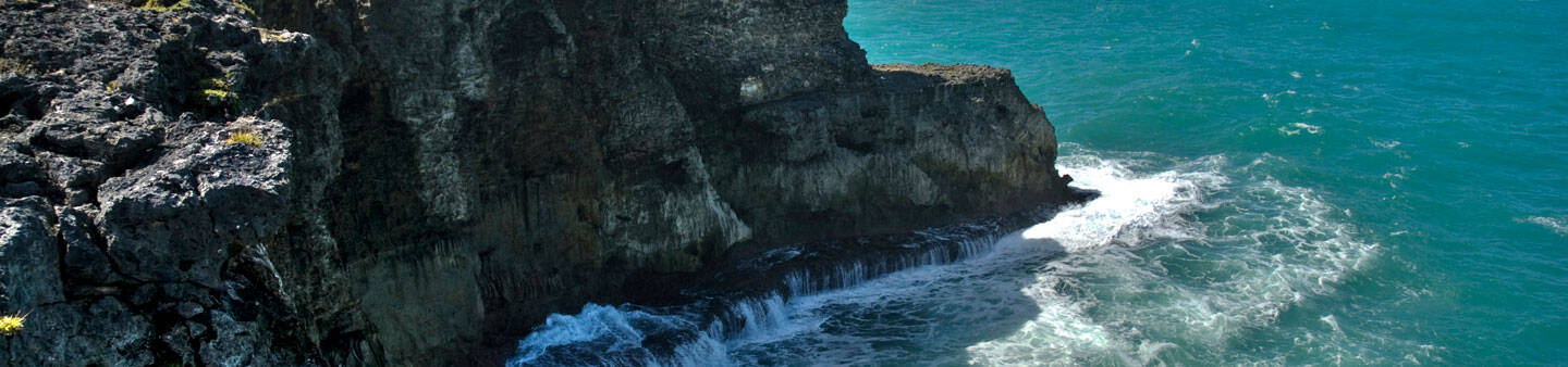 Study Abroad in Barbados