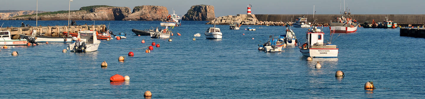 Gap Year in Portugal