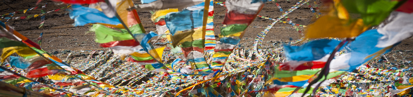 Gap Year in Tibet