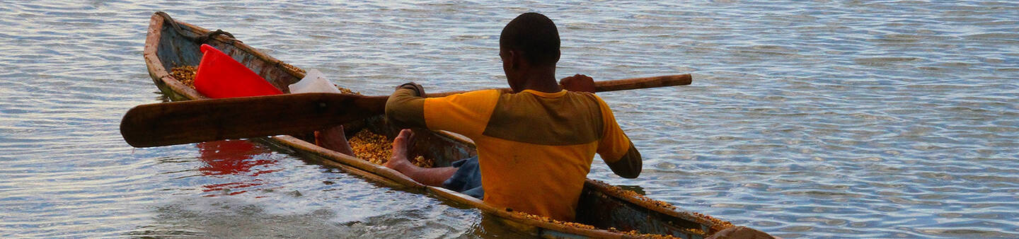 Internships in Haiti
