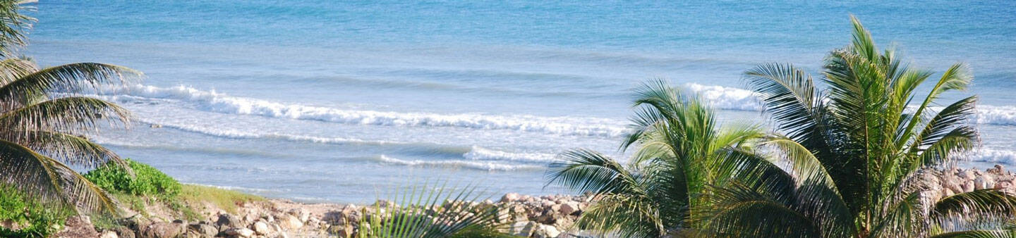 Internships in Jamaica