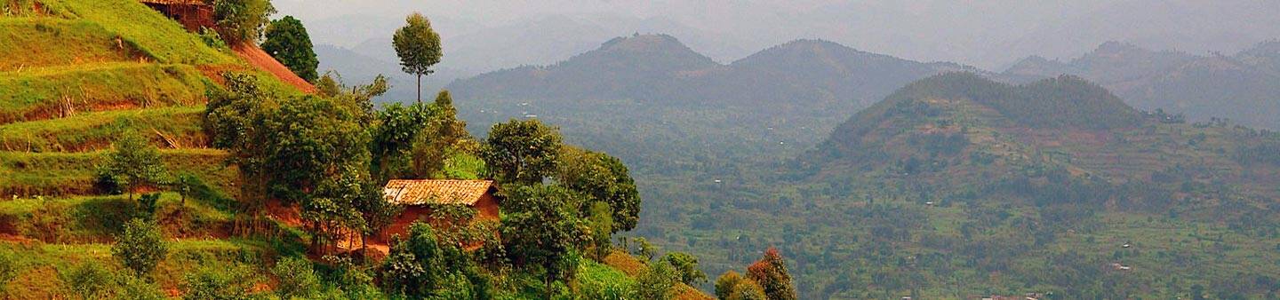 Internships in Rwanda