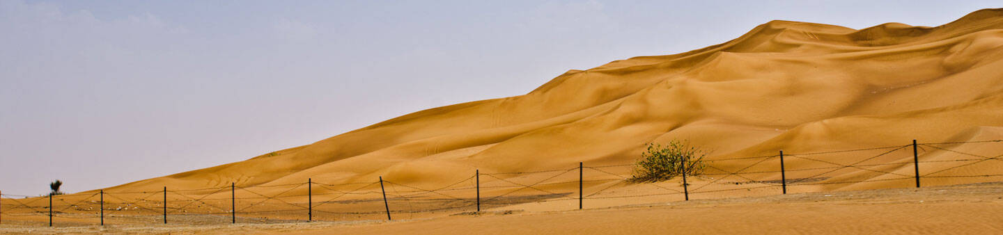 Study Abroad in Sharjah, UAE