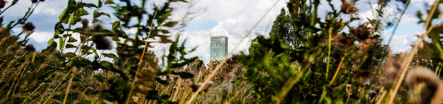 Study Abroad in Manchester, England