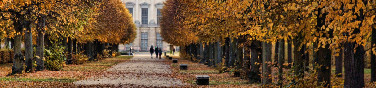 Gap Year in Berlin, Germany