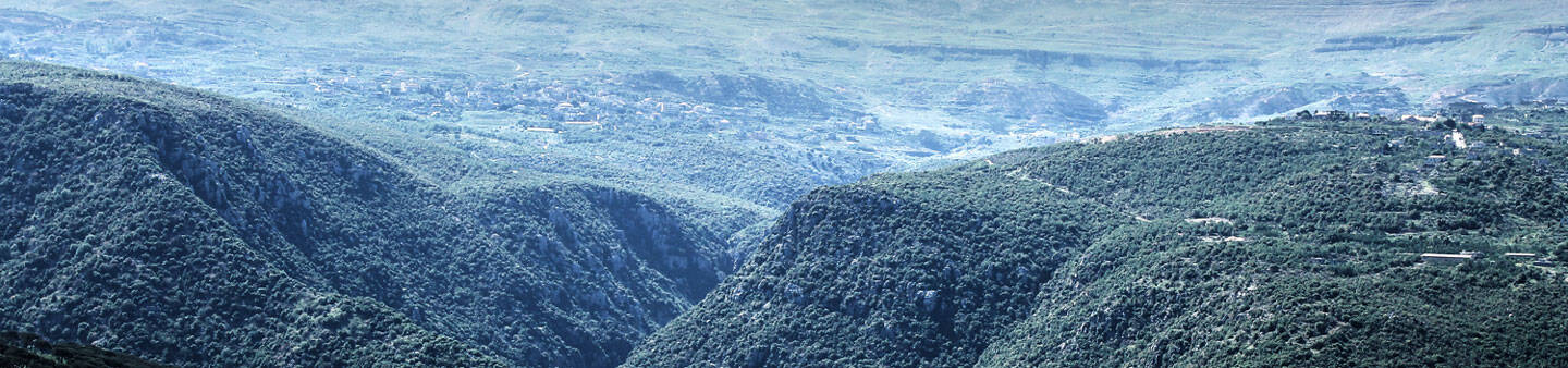 Learn Arabic in Lebanon