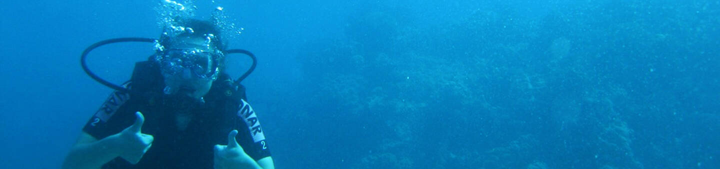 Gap Year Scuba Diving Instruction Programs