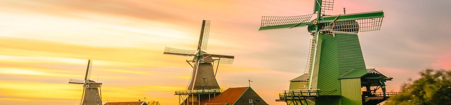 Learn Dutch Abroad