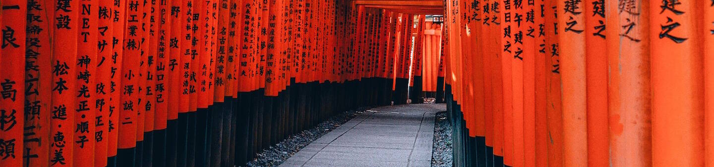 Volunteer in Japan