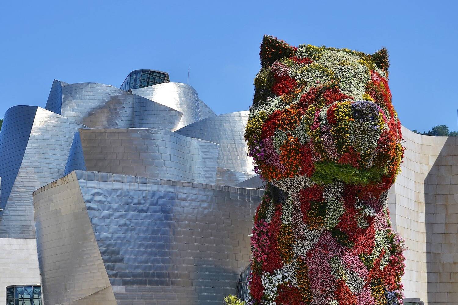 Study Abroad in Bilbao Spain