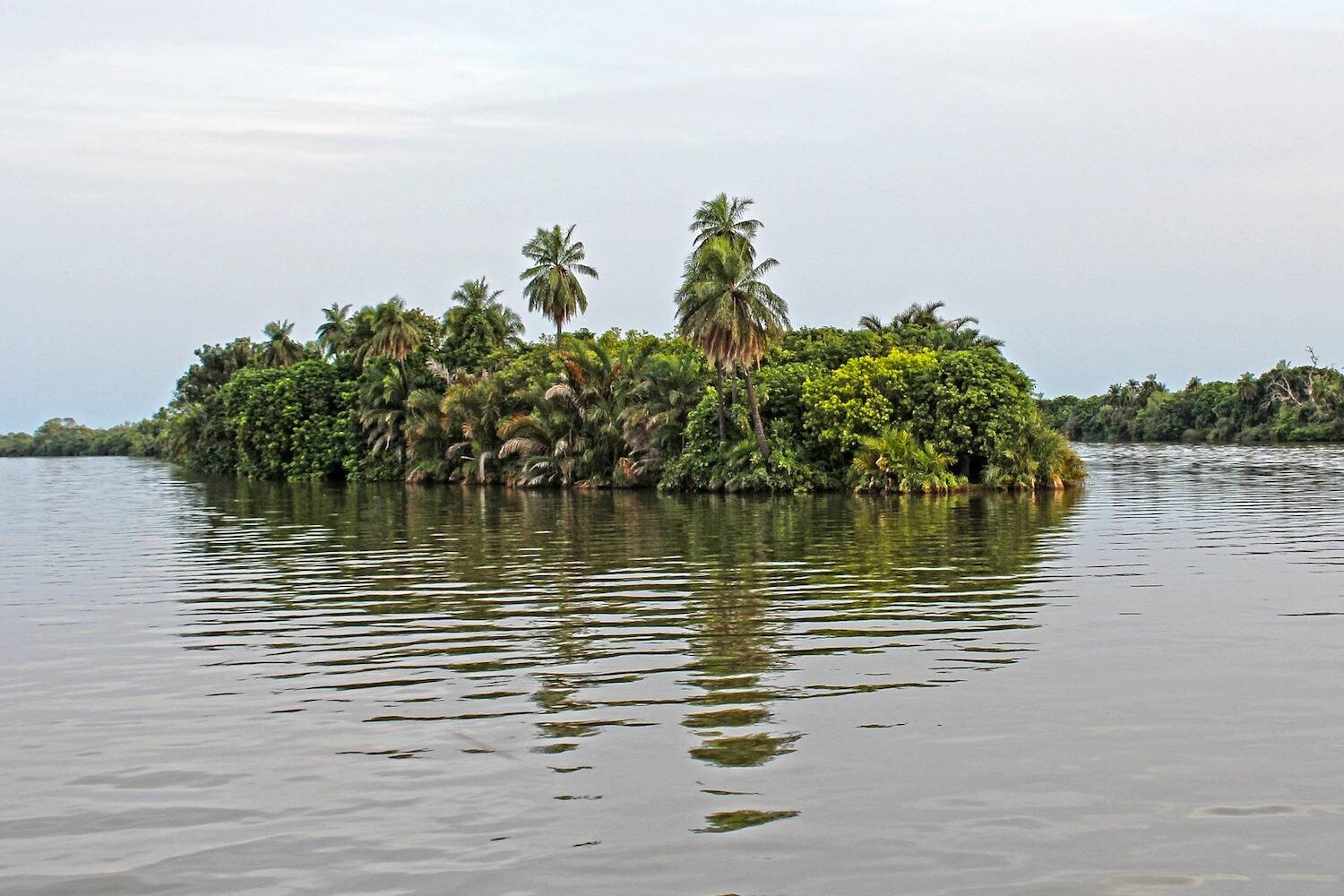 Volunteer in The Gambia