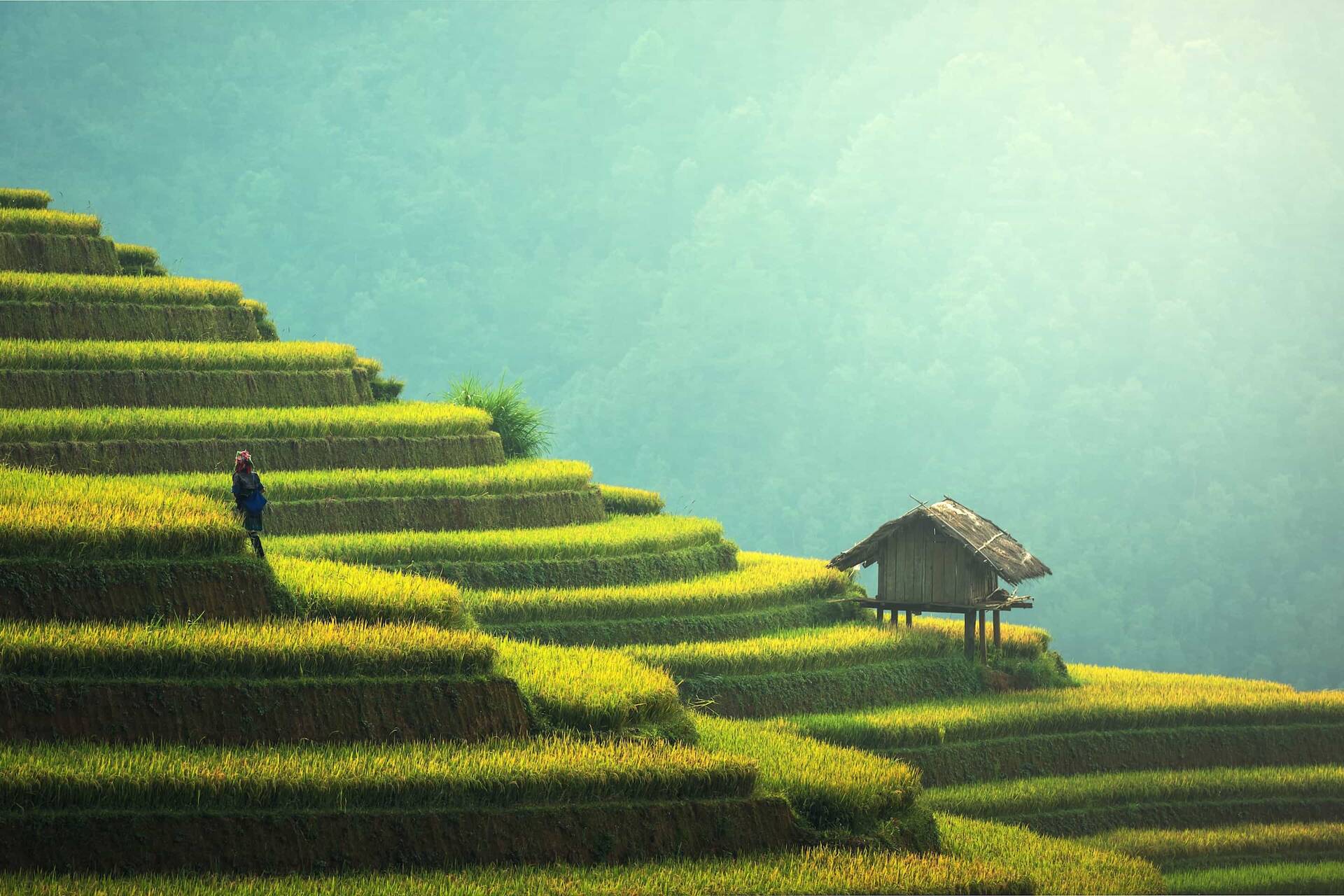 Gap Year in Thailand