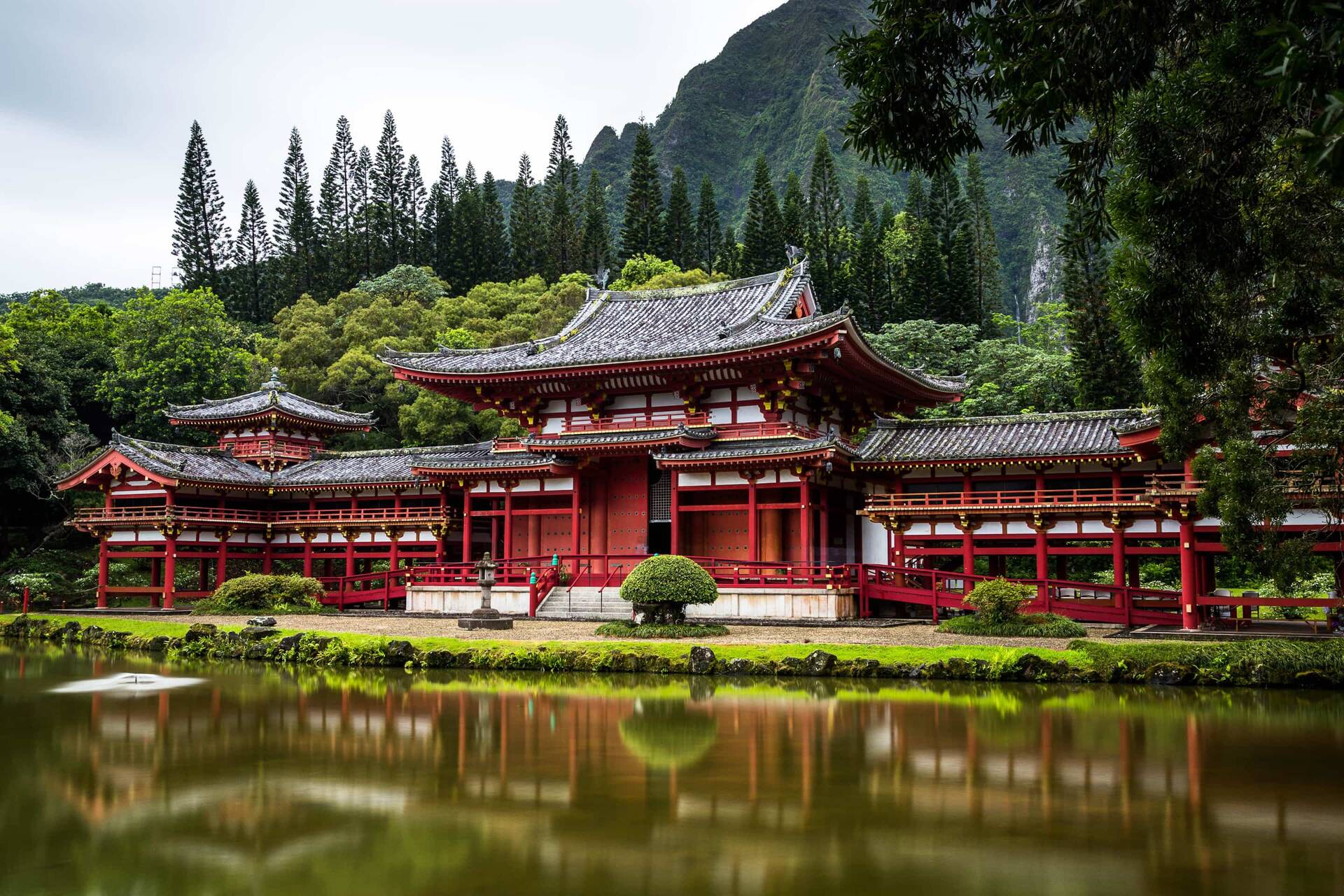Study Abroad in Japan