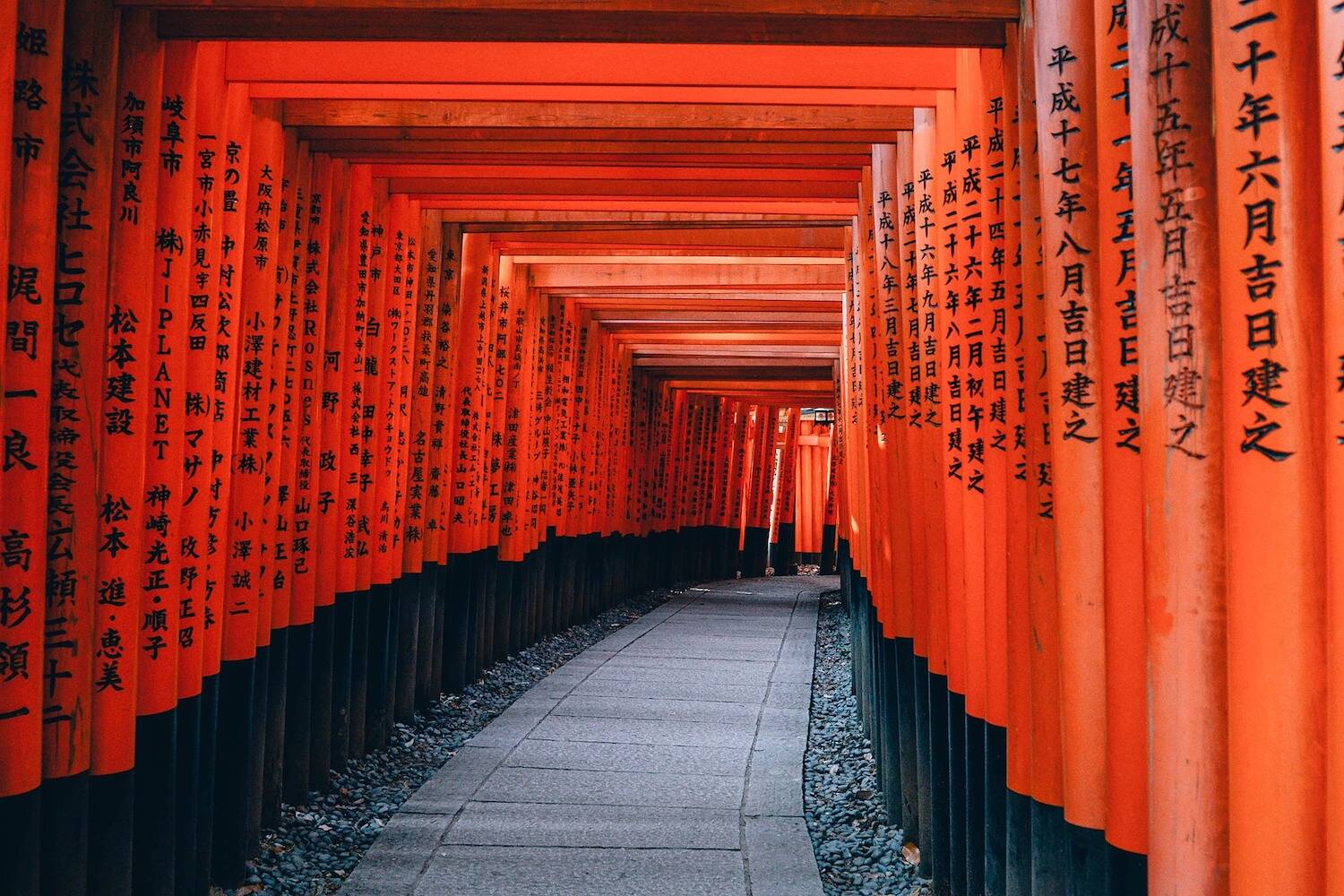 Japan CLP Header