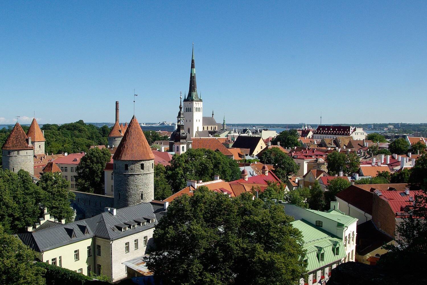 Internships in Estonia