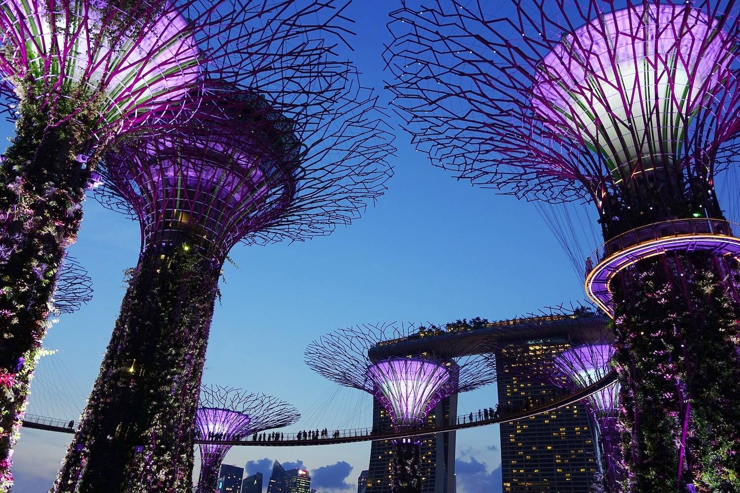 Learn Chinese in Singapore