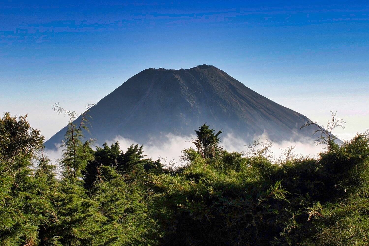 Learn Spanish in El Salvador