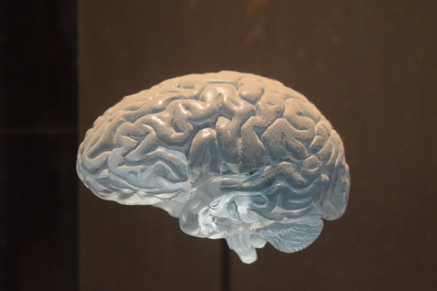 Psychology Internships Abroad