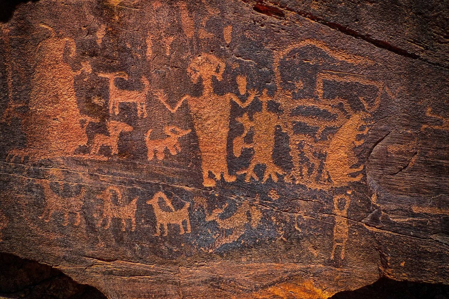 Volunteer for Indigenous Cultures