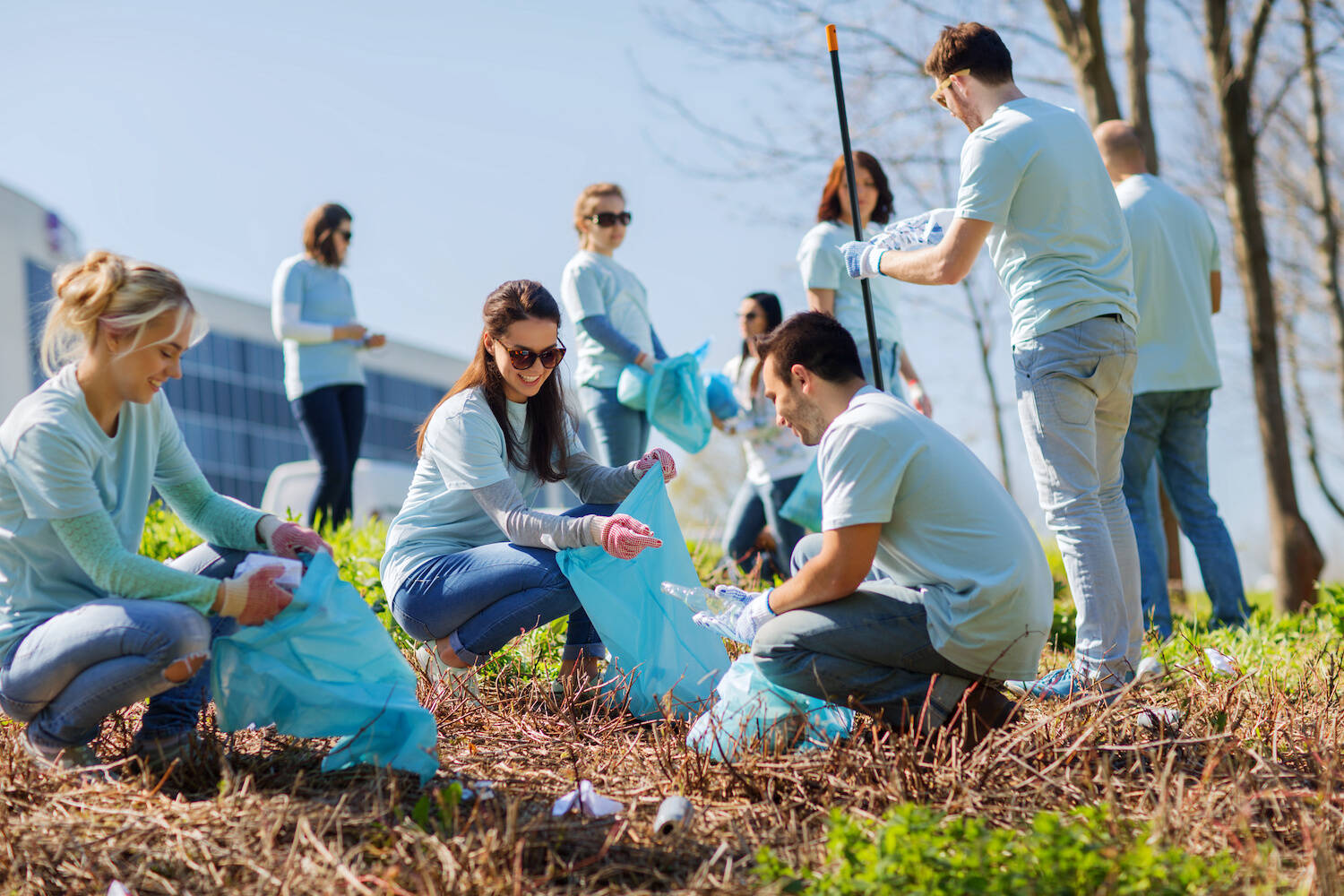 Social Work CLP Header