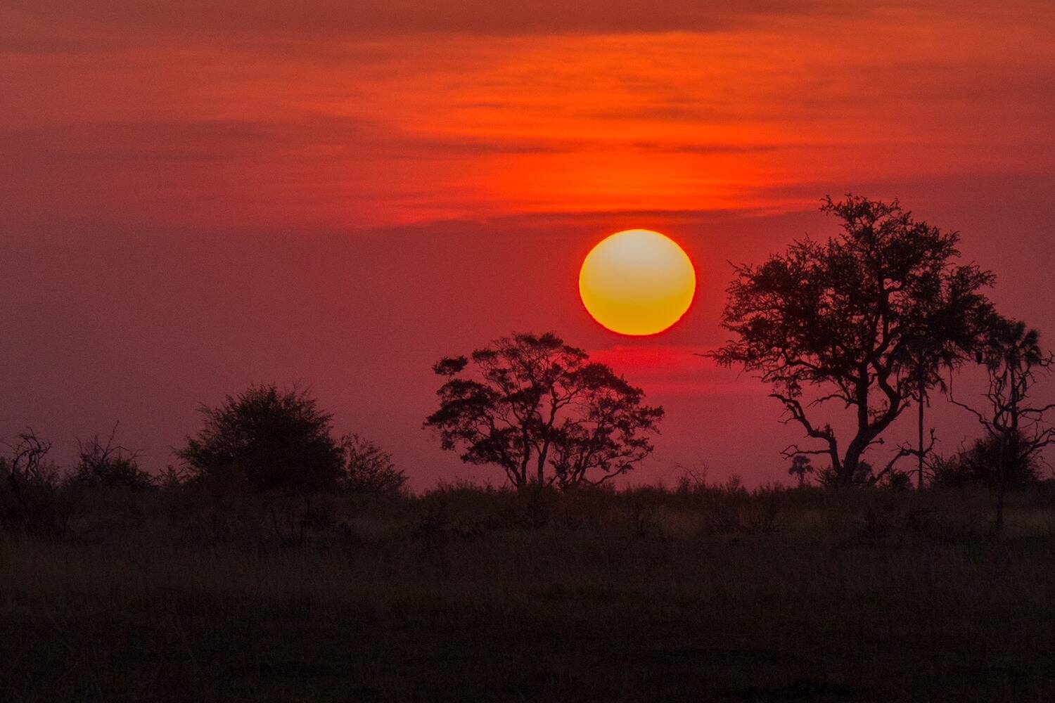 Botswana CLP Header