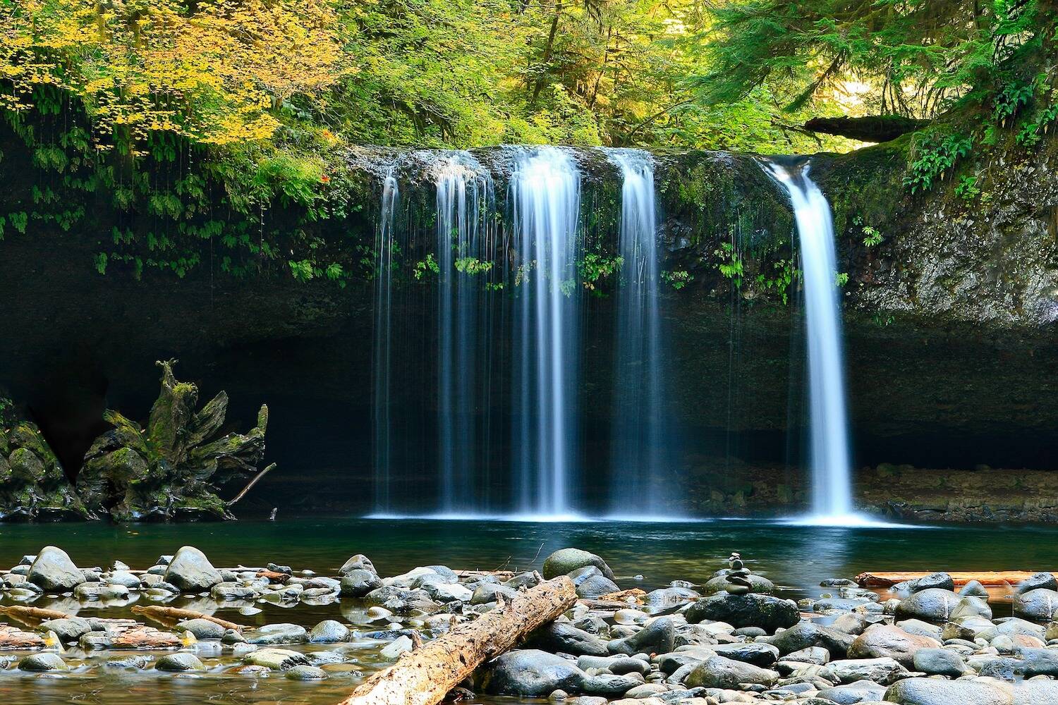Environmental Studies CLP Header