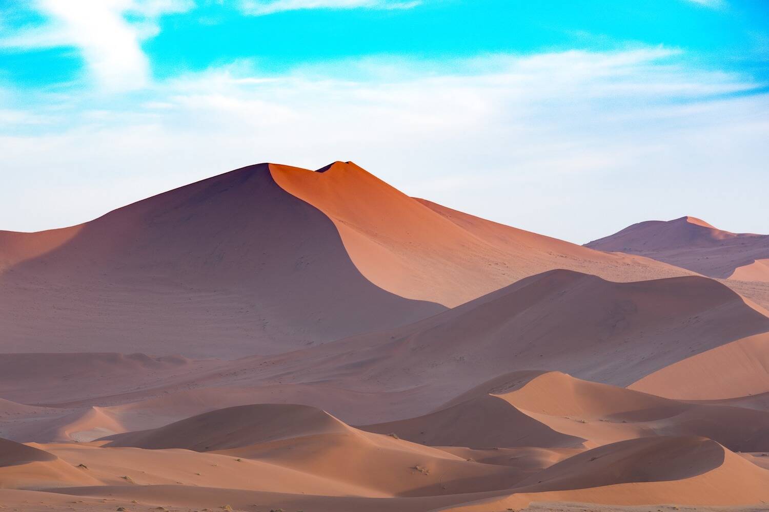 Namibia CLP Header