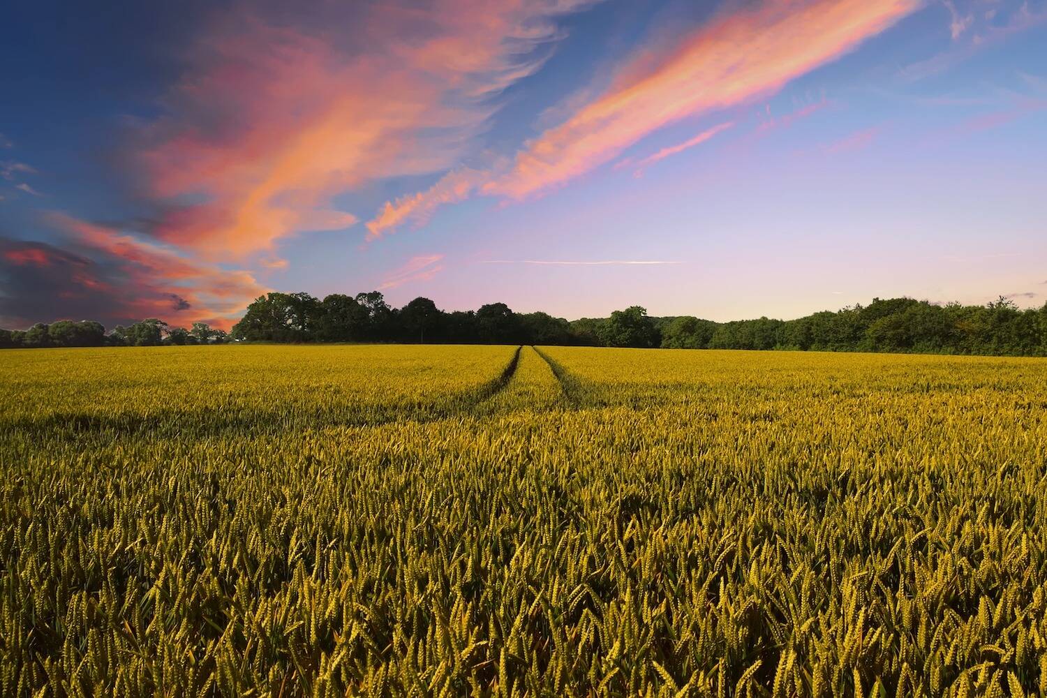 Agriculture CLP Header