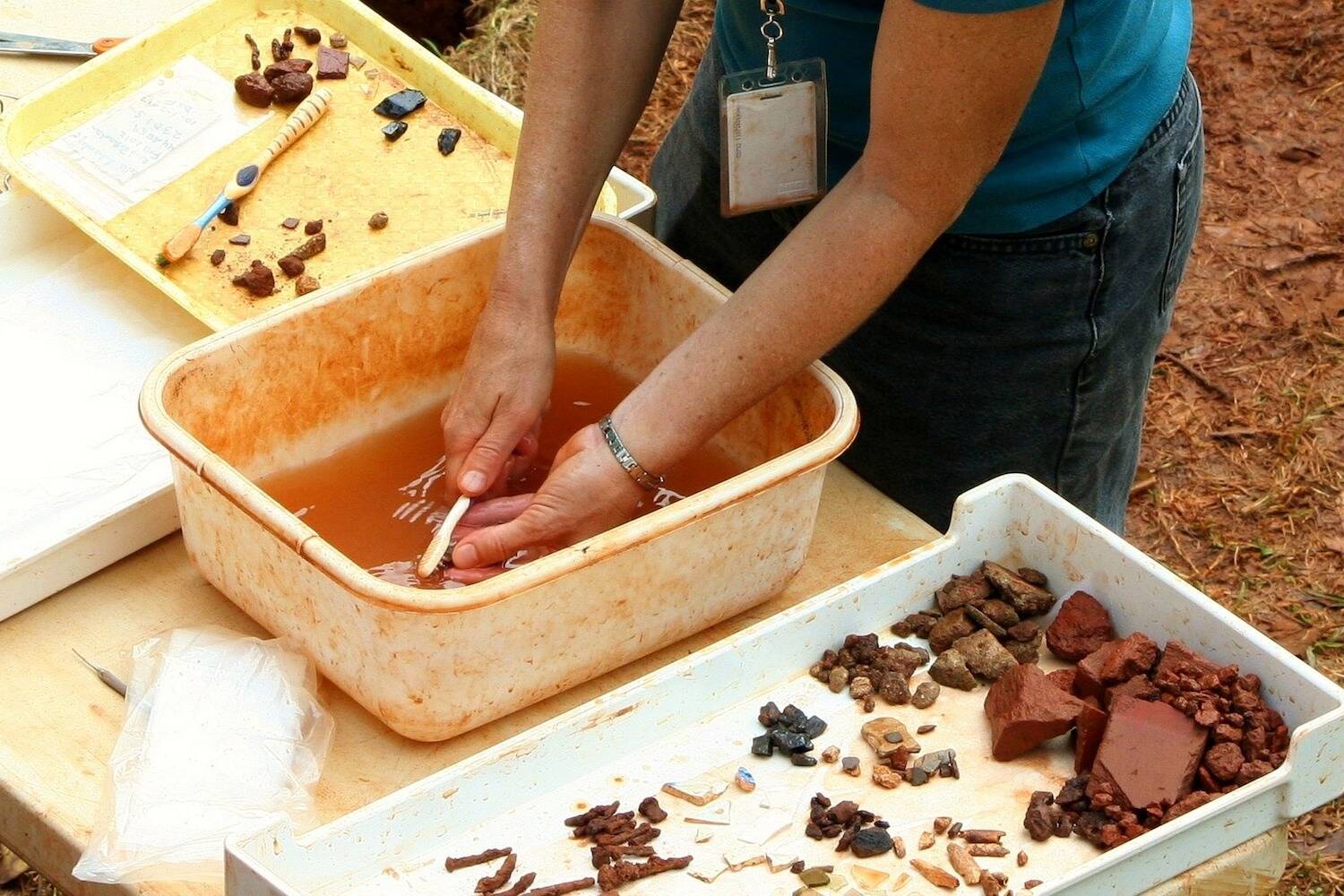 Field Studies CLP Header