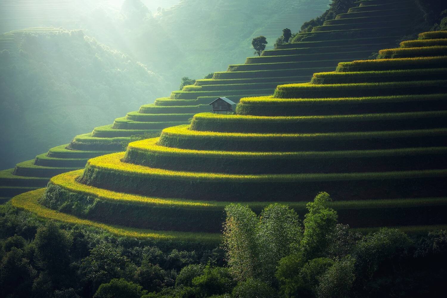 Asia CLP Header