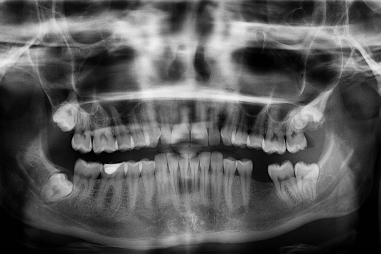 Dentistry CLP Header