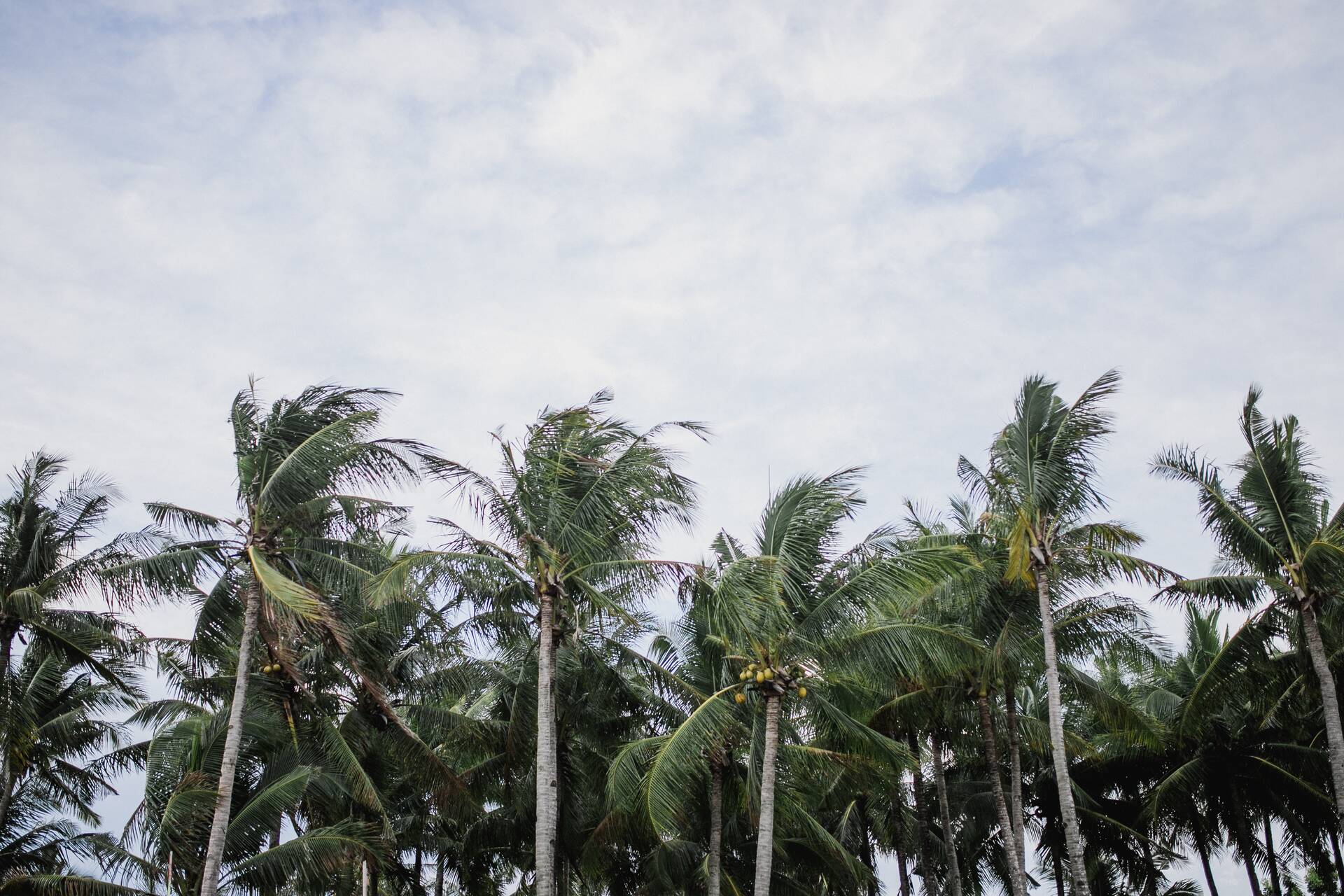 Volunteer in the Bahamas